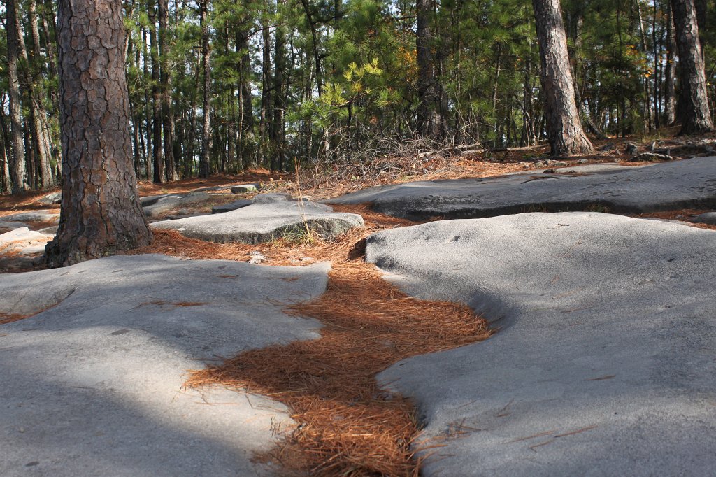 IMG_1774.JPG - Stone Mountain walk-up trail  http://en.wikipedia.org/wiki/Stone_Mountain 
