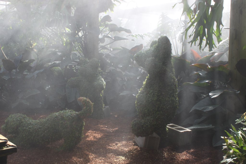 IMG_2225.JPG - Mist & green art in Atlanta's botanical garden  http://en.wikipedia.org/wiki/Atlanta_Botanical_Garden 