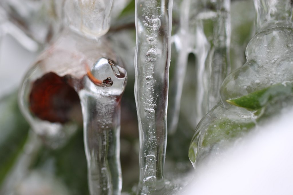 IMG_2929.JPG - Icicle forest