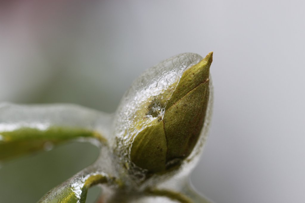 IMG_2944.JPG - Breakthrough - escaping the ice prison