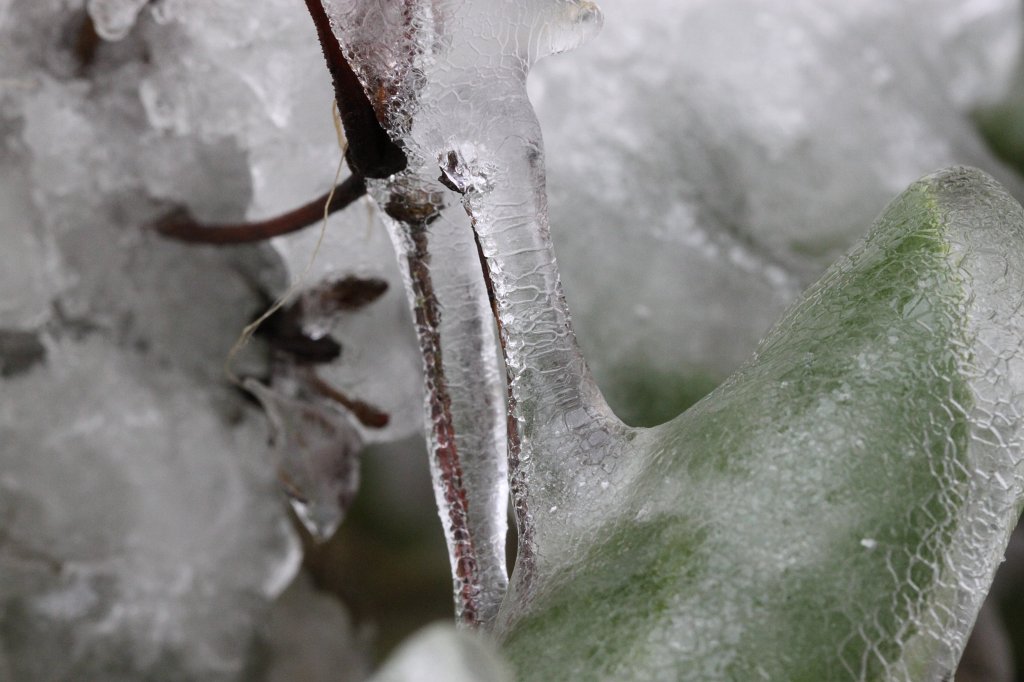 IMG_2965.JPG - Ice prison