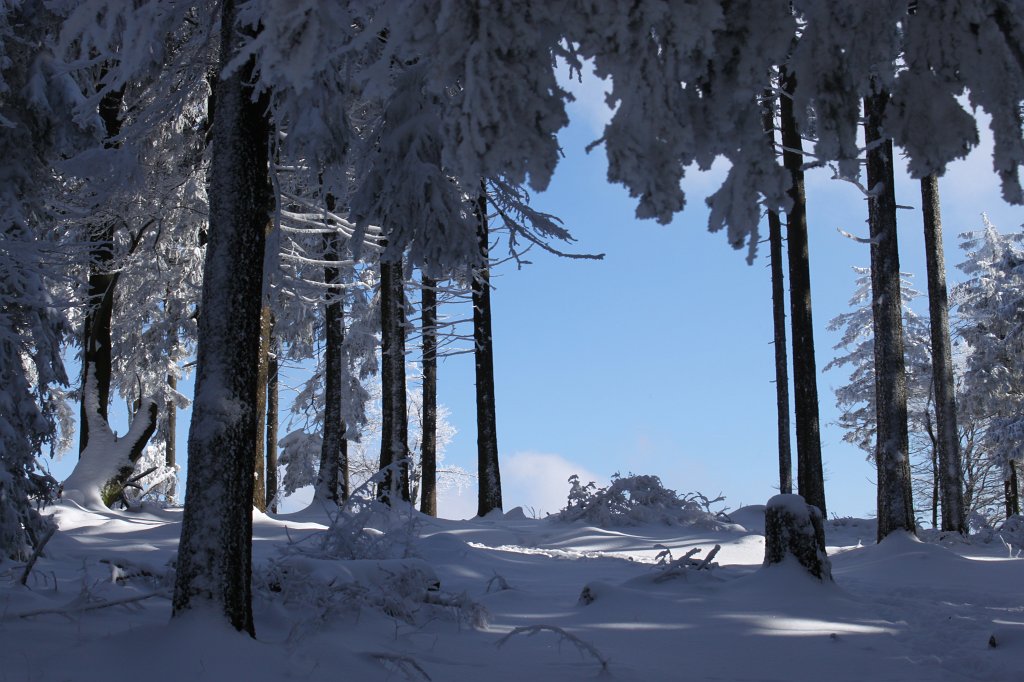 IMG_3007.JPG - White snow and blue sky