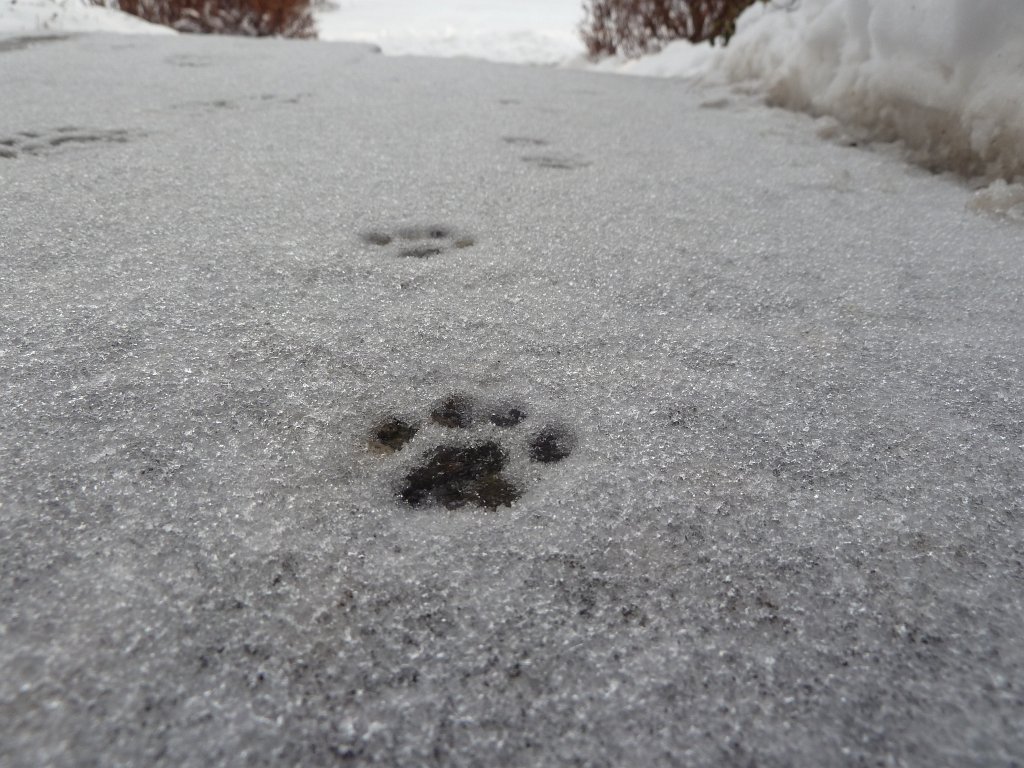 P1090682.JPG - Catwalk
