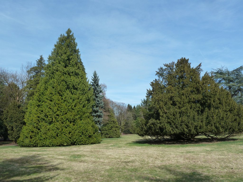 P1090853.JPG - Gustavsgarten  http://de.wikipedia.org/wiki/Landgr%C3%A4fliche_G%C3%A4rten_Bad_Homburg 