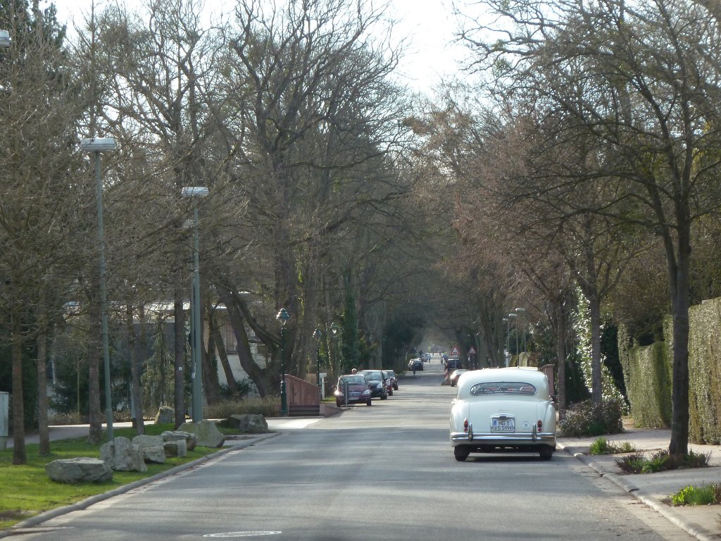 P1090891.JPG - Tannenwaldalle