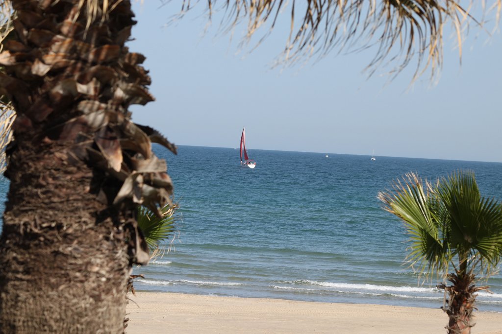 IMG_3722.JPG - Sailing away