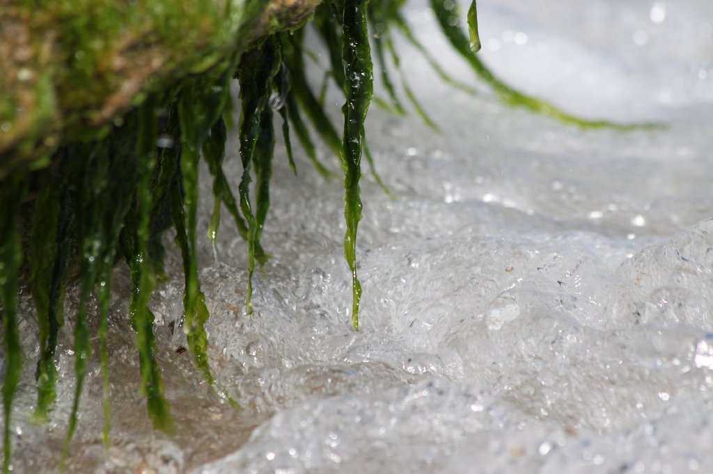 IMG_3741.JPG - Waves attacking the green and the rock