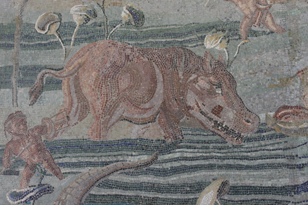 IMG_6786.JPG - Mosaico Pavimentale, Roma, Dalla vigna Maccarani, presso S. Saba sull'Aventino, II sec. d. C.  National Museum of Rome - Palazzo Massimo alle Terme 