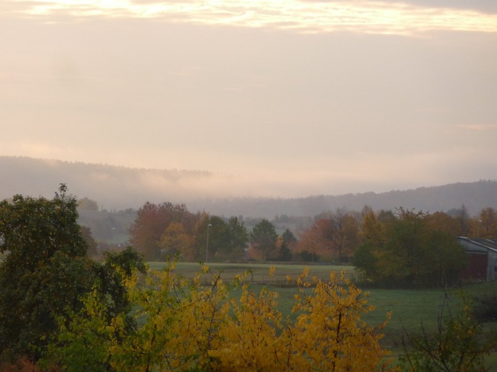 P1100931.JPG - Fog over the forest