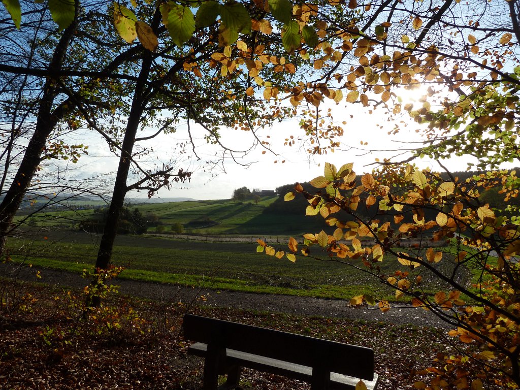 P1100998.JPG - Bench with a view