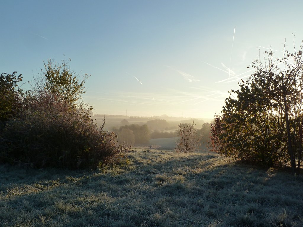 P1110082.JPG - Clear and bright morning
