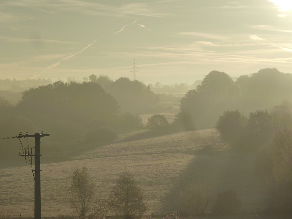 P1110083.JPG - Morning has broken