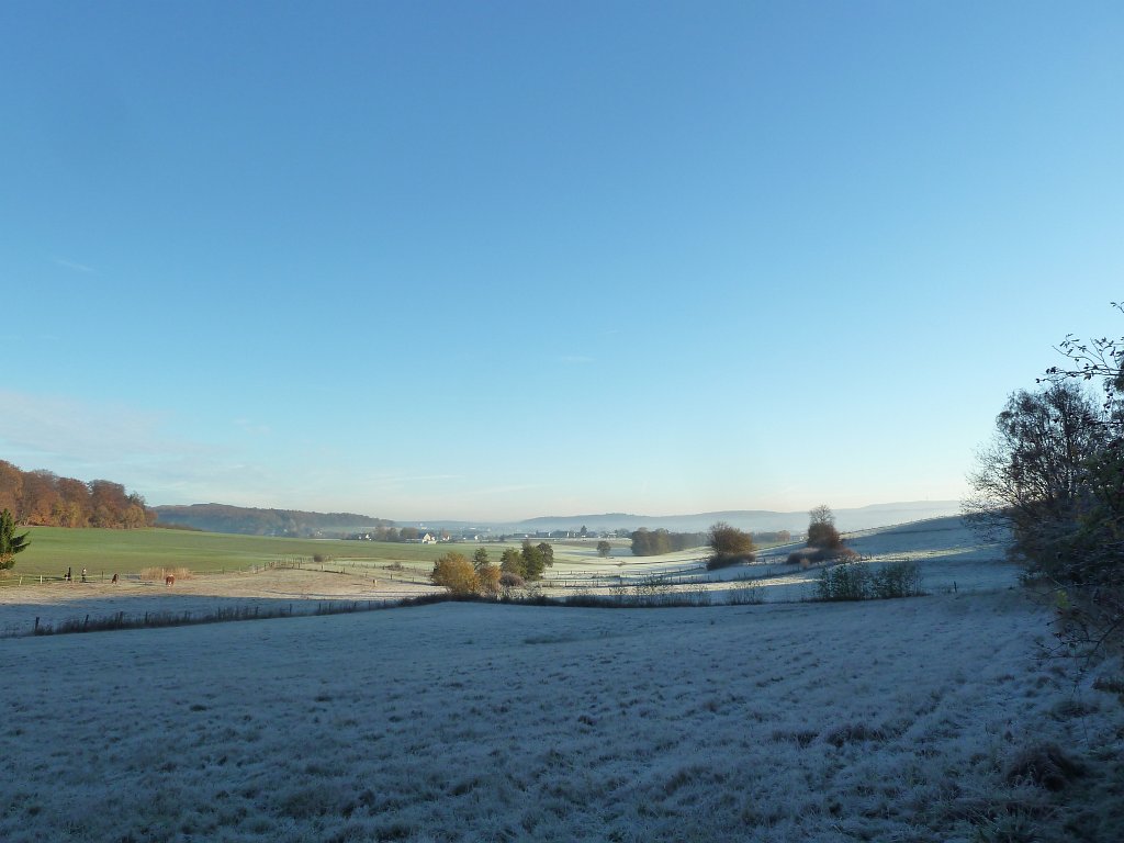 P1110090.JPG - Hoar frost in the shadows