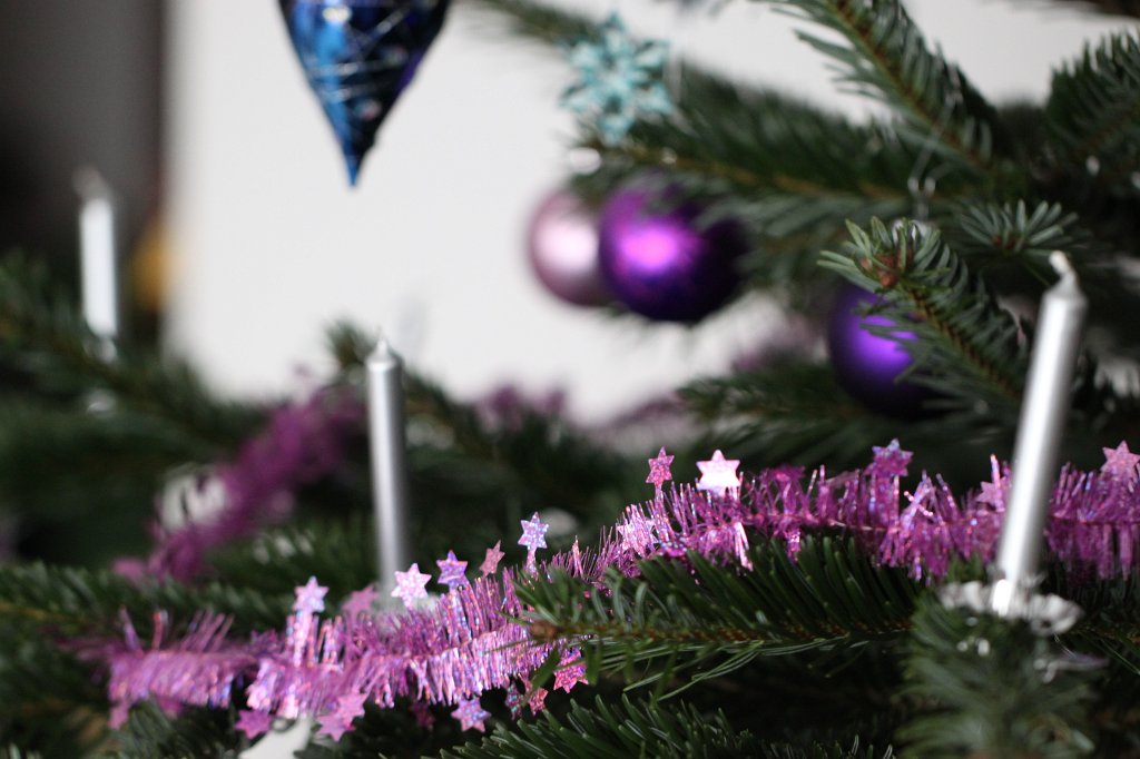 IMG_8547.JPG - Weihnachtsbaum