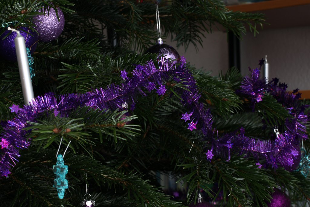 IMG_8559.JPG - Weihnachtsbaum