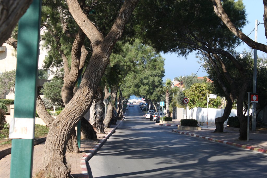 IMG_8901.JPG - Medinat ha-Yehudim St