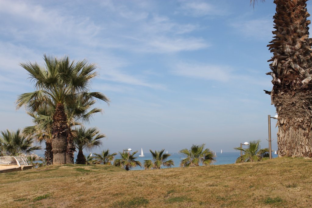 IMG_8950.JPG - Sea view