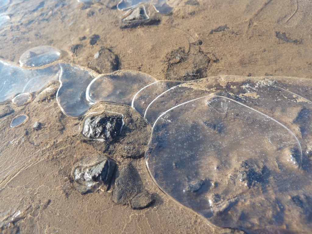 P1110464.JPG - Frozen bubbles