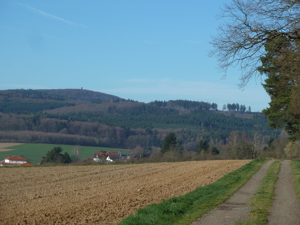 P1110576.JPG -  Pferdskopf 