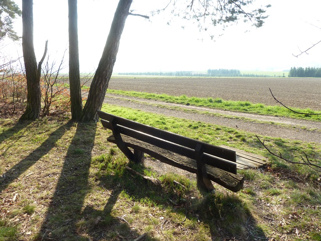 P1110730.JPG - Bench in the sunshine
