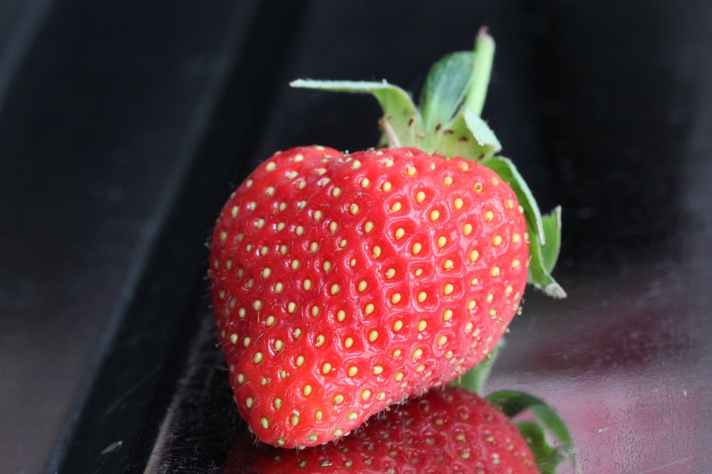 IMG_0046.JPG - First strawberry of the year