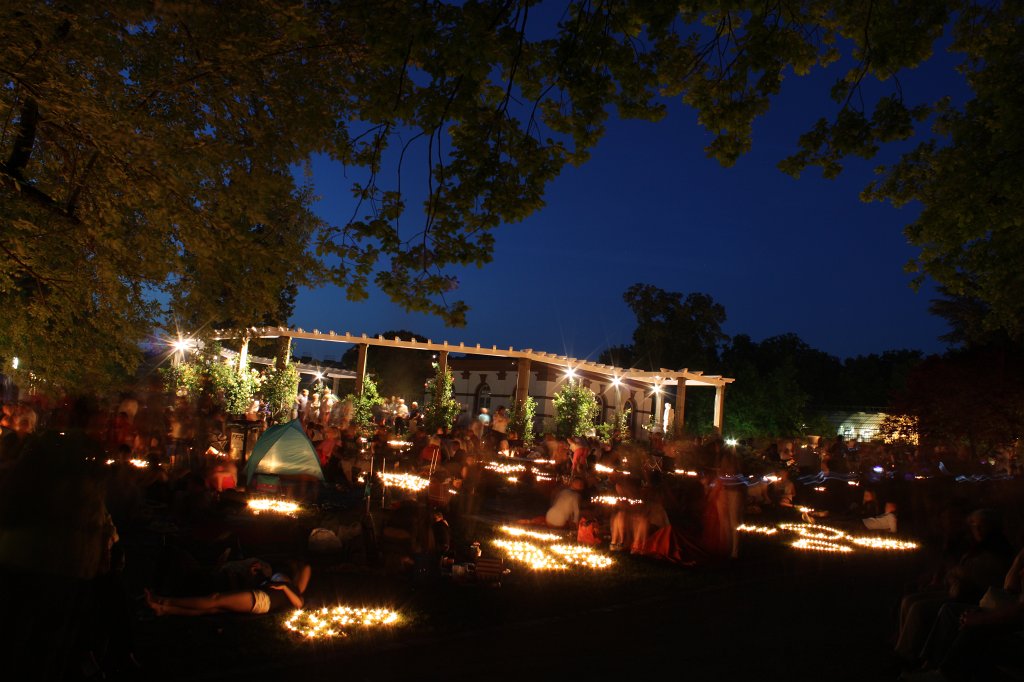 IMG_1180.JPG - The lights of the  Palmengarten  Lichterfest