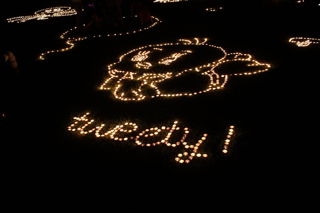 IMG_1220.JPG - The lights of the  Palmengarten  Lichterfest