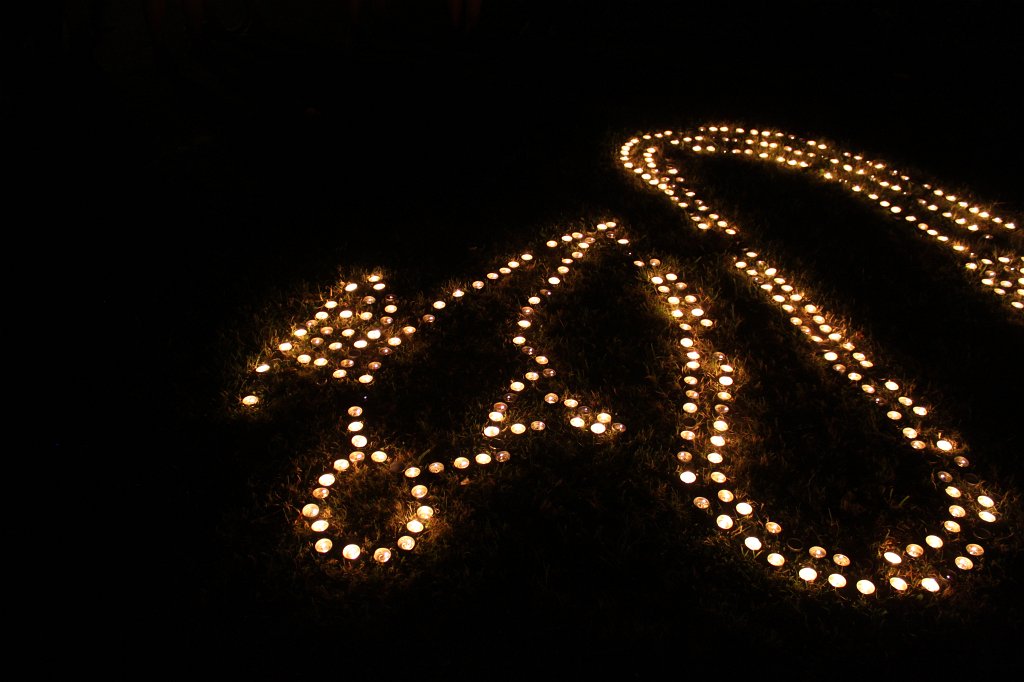 IMG_1232.JPG - The lights of the  Palmengarten  Lichterfest