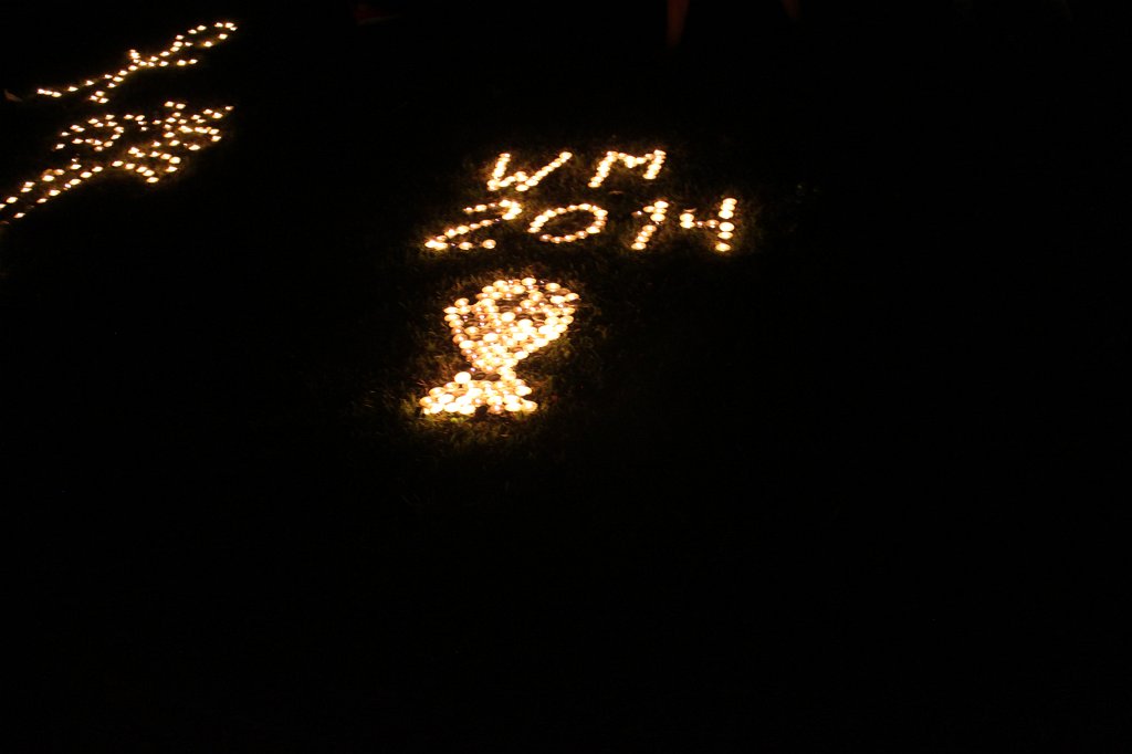 IMG_1237.JPG - The lights of the  Palmengarten  Lichterfest