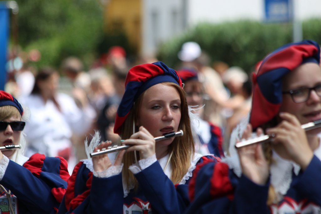 IMG_1353.JPG -  Hessentag  2014 pageant - marching band