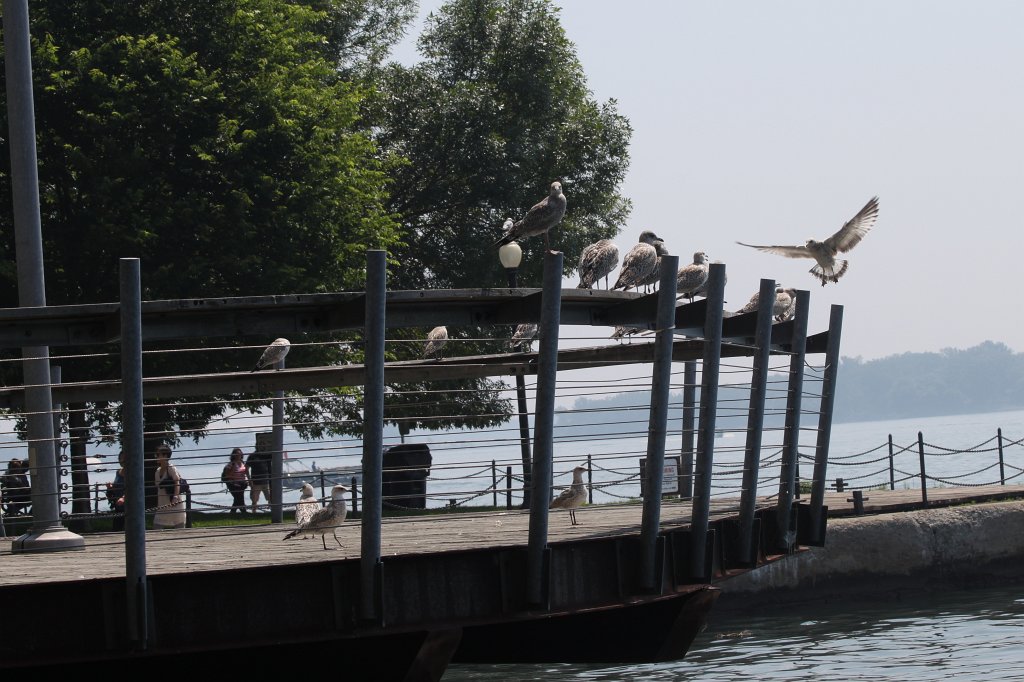 IMG_2362.JPG - Landing