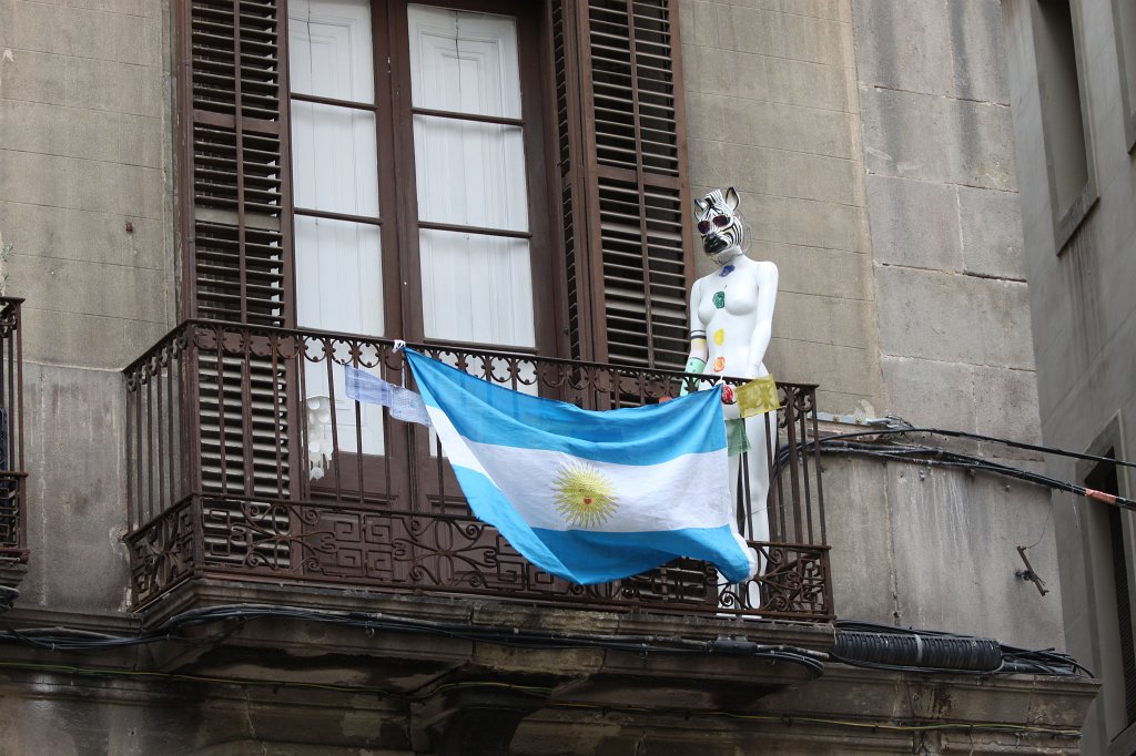 IMG_4304.JPG - Zebra display dummy