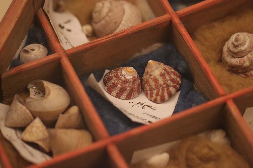 IMG_4513.JPG - Nature collection