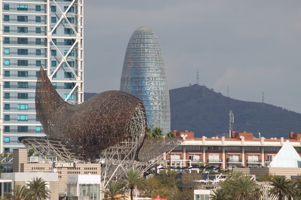 IMG_6451.JPG -  Frank Gehry 's fish sculpture &  Torre Agbar 