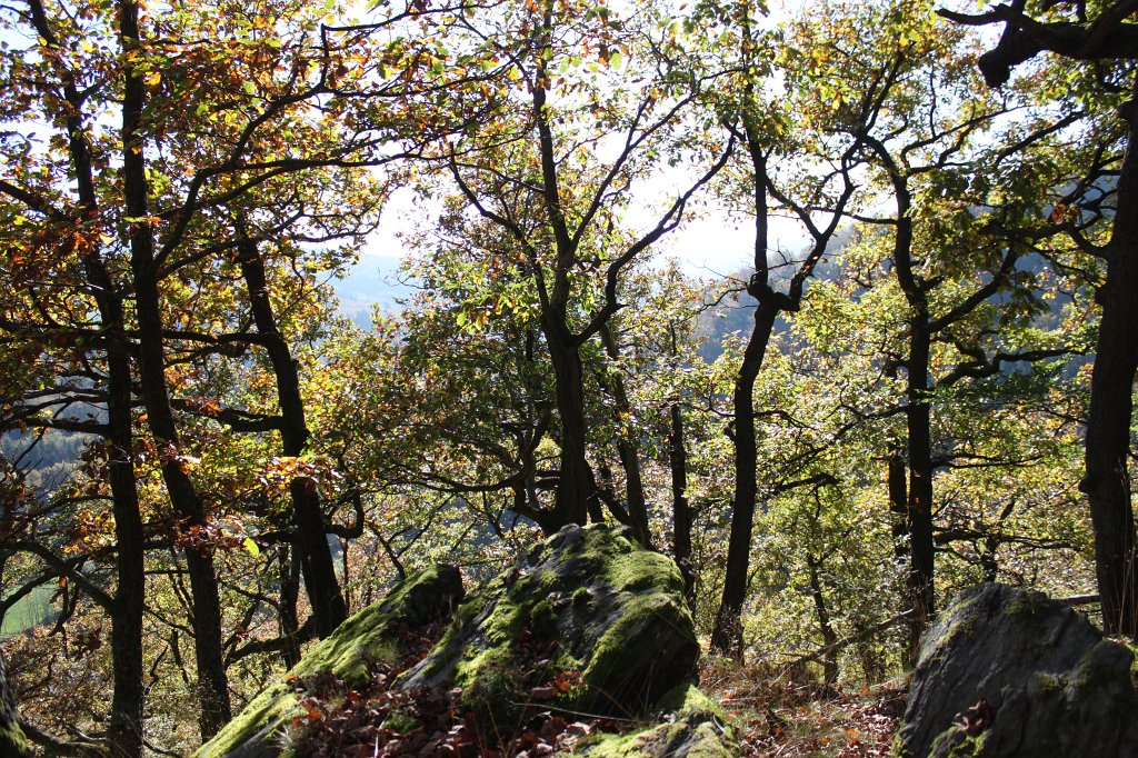 IMG_7252.JPG - Vista point