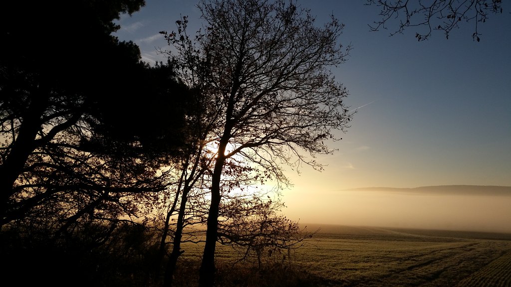 20141125_084527.jpg - Fog in the valley