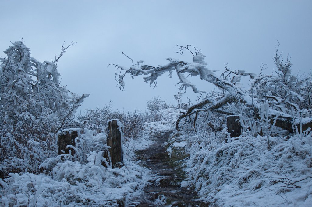 IMG_8055_c.jpg - Winter in the  Taunus 