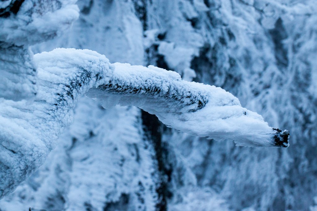 IMG_8097_c.jpg - Winter in the  Taunus 