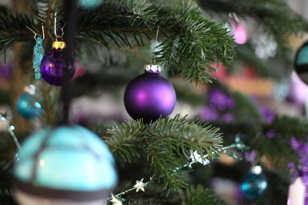 IMG_8200.JPG - Weihnachtsbaum