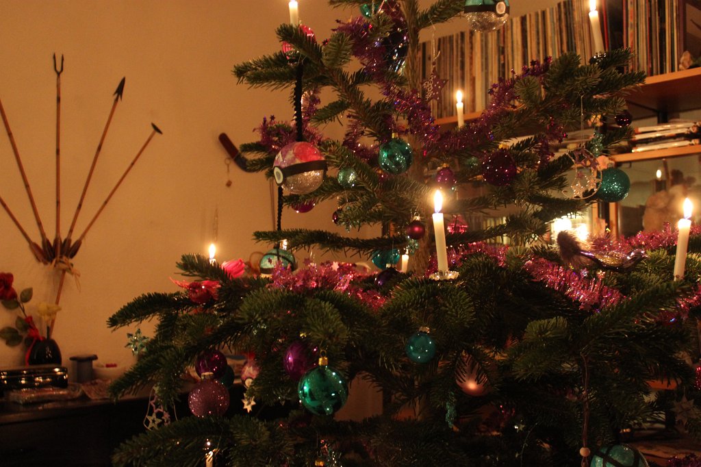 IMG_8227.JPG - Weihnachtsbaum