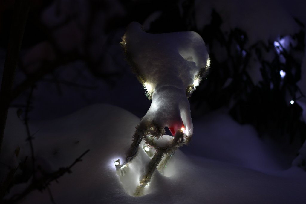 IMG_8270.JPG - Rudolph the red nosed reindeer