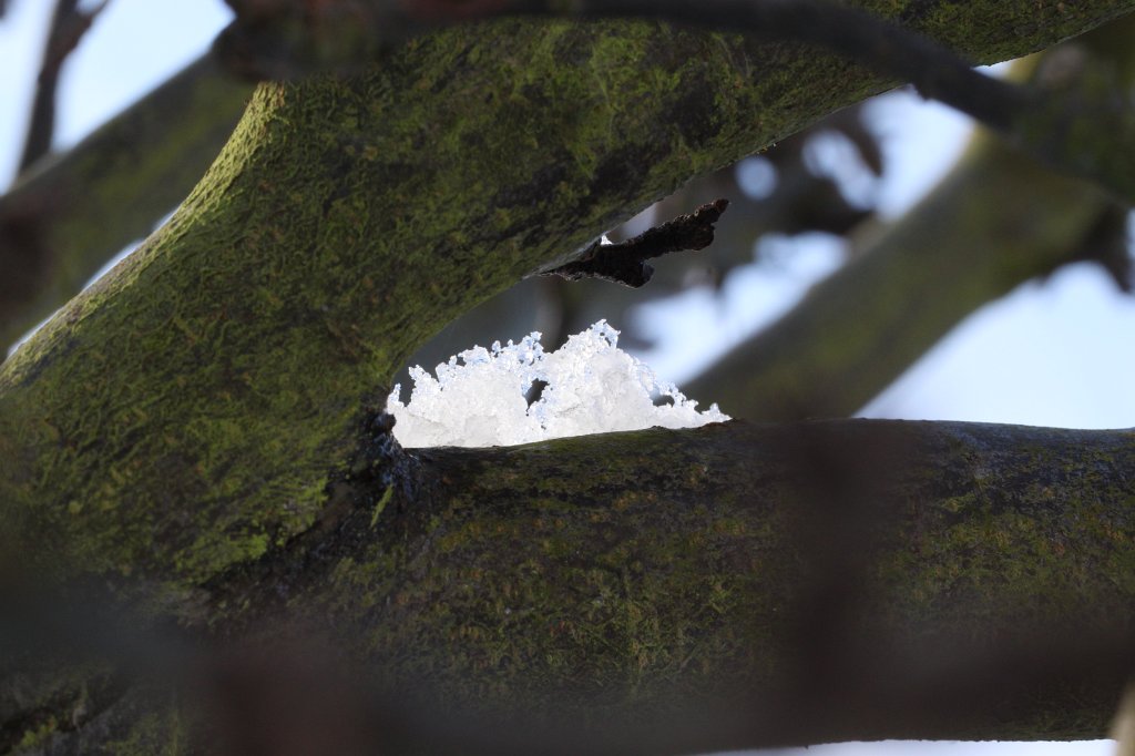 IMG_8280.JPG - Melting snow