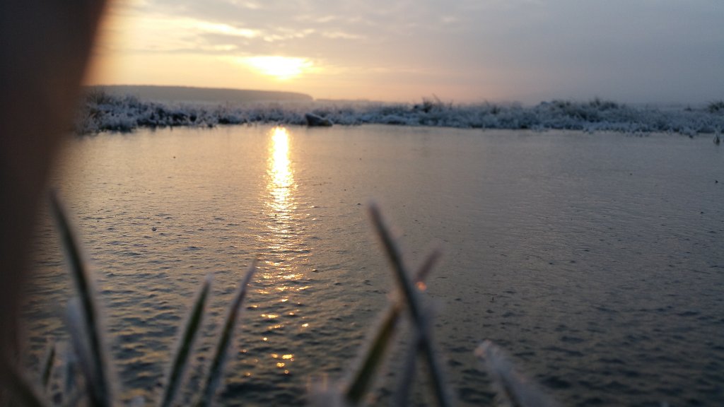 20150121_085040.jpg - Sunrise