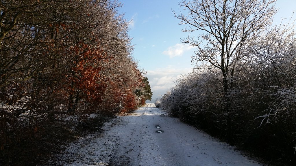 20150130_092605.jpg - White path