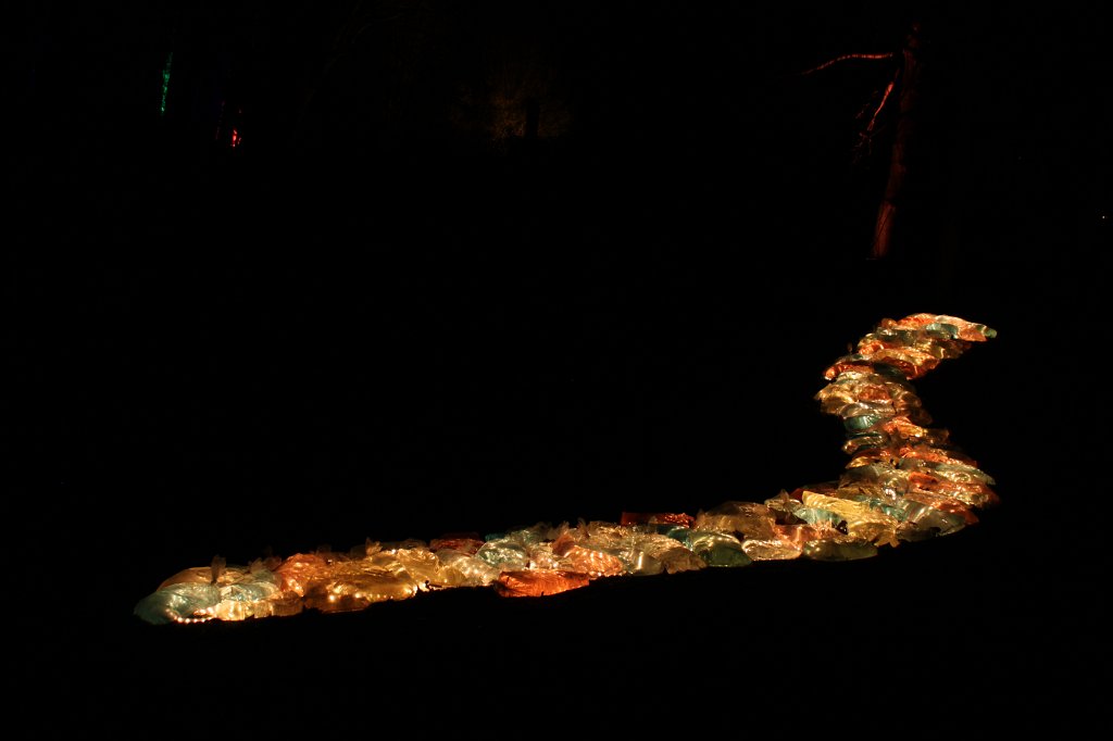 IMG_8453.JPG - Frankfurter Palmengarten - Winterlichter - Schlange