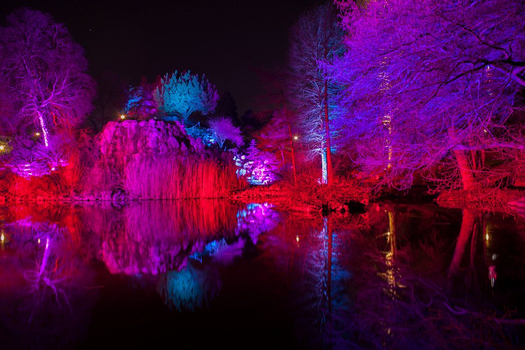 IMG_8457_c.jpg - Frankfurter Palmengarten - Winterlichter - See und Steingarten