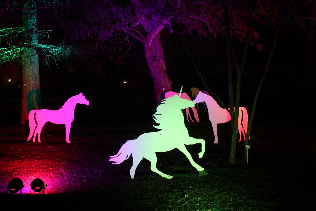 IMG_8463.JPG - Frankfurter Palmengarten - Winterlichter - Einhorn