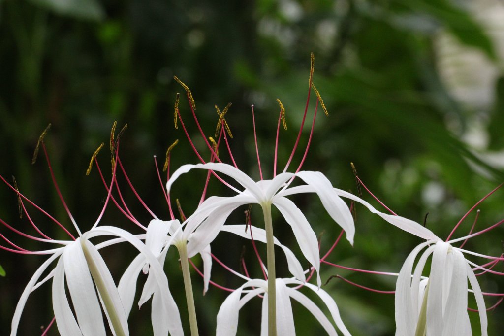 IMG_9198.JPG - Schönhäutchen