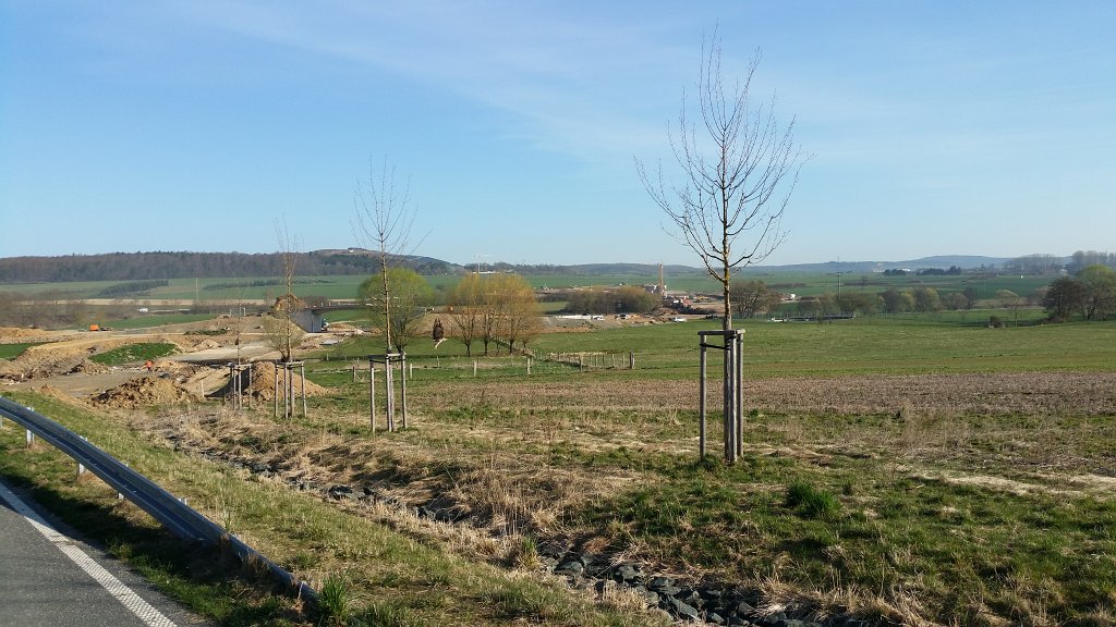 20150415_084413.jpg - Heisterbach road continuation construction site with bird