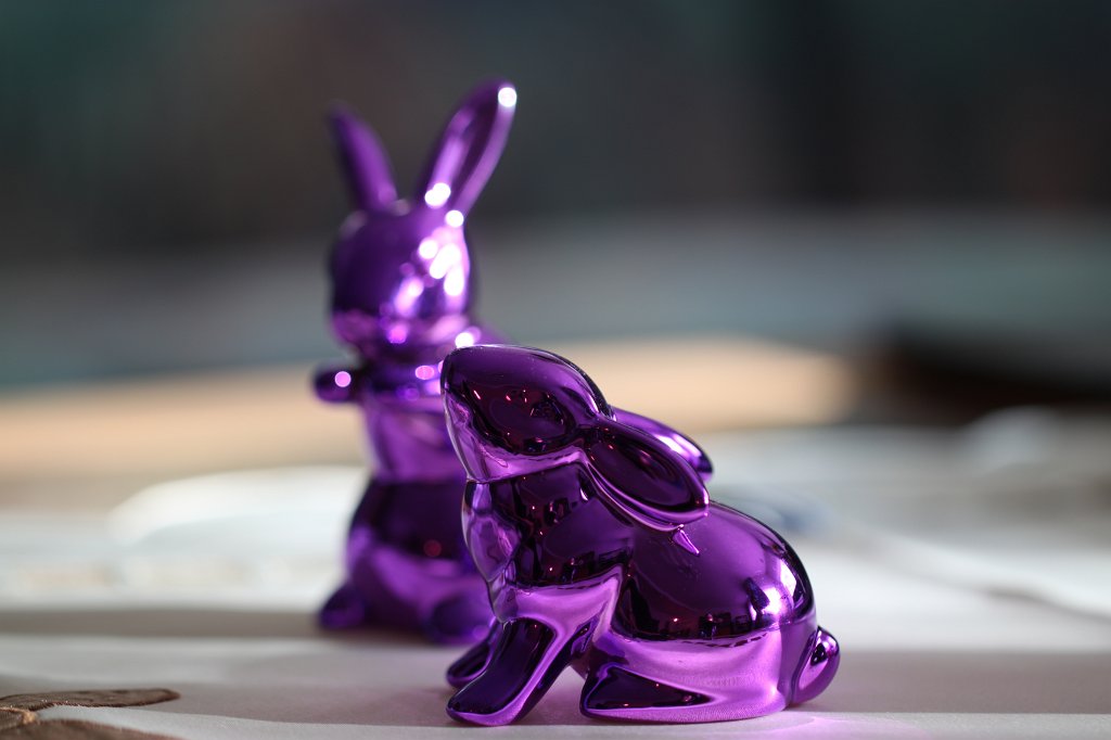 IMG_9455.JPG - Rabbits